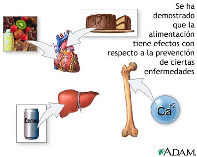 Dieta y prevencin de enfermedades