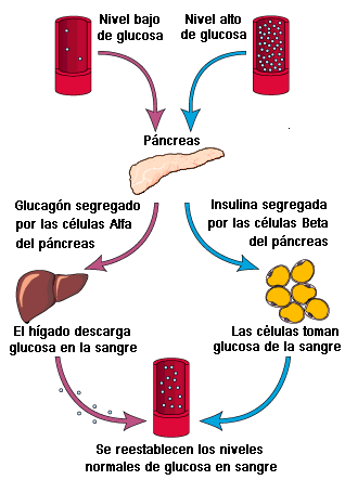 overview of the flow